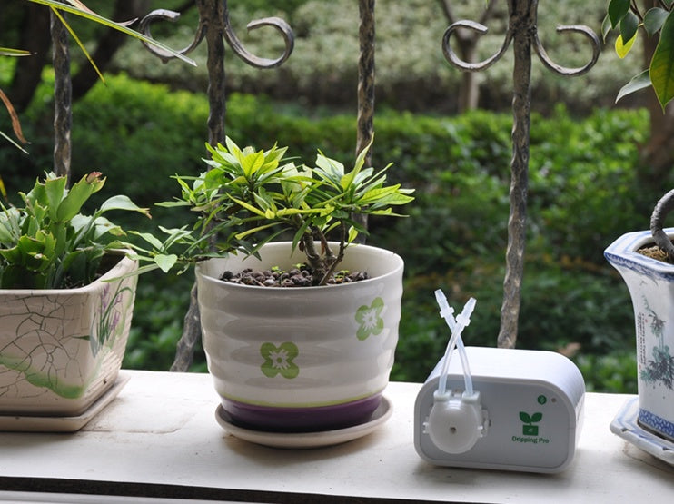 houseplant automatic waterer