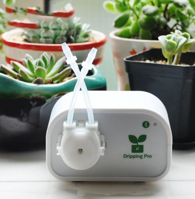 houseplant automatic waterer