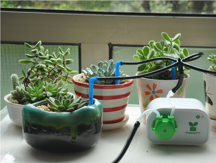 houseplant automatic waterer